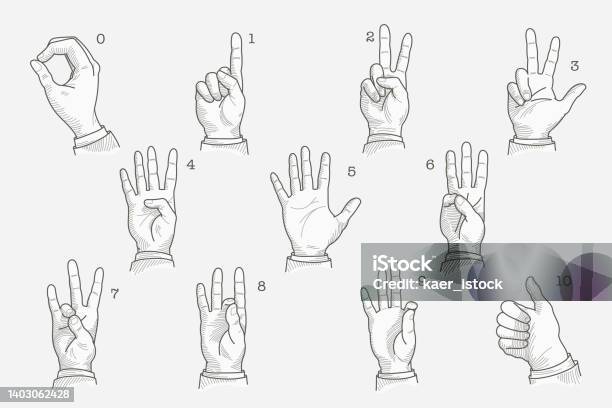 Muted Numbers Numbers Set In A Deafmute Hand Gesture Alphabet Stock Illustration ...