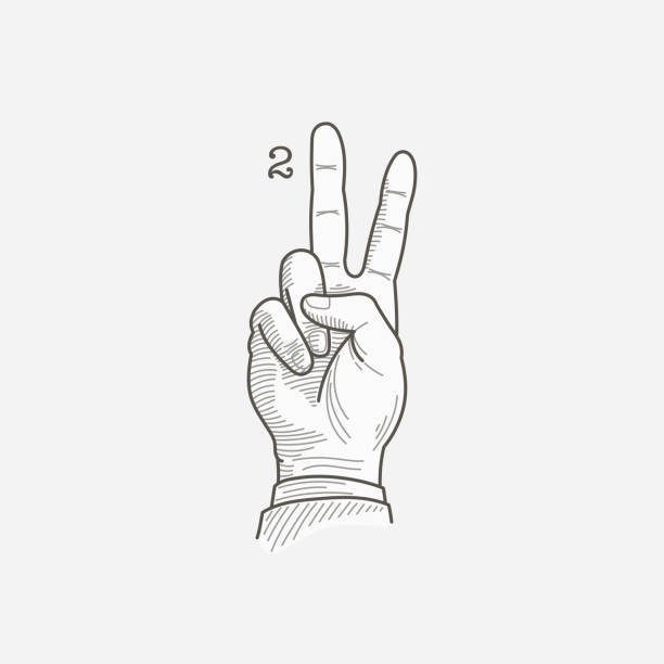 ilustrações de stock, clip art, desenhos animados e ícones de number two logo in a deaf-mute hand gesture alphabet. - sign language american sign language text human hand
