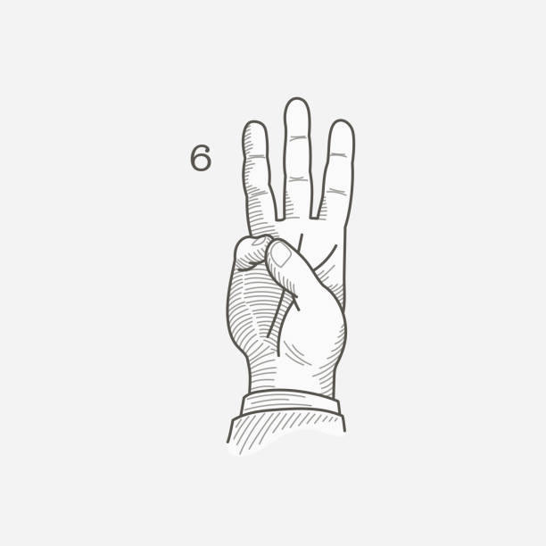 логотип номер шесть в глухонемом алфавите жестов рук. - sign language american sign language human hand deaf stock illustrations