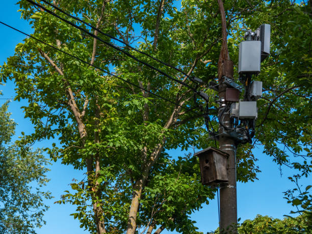 Electric wires on a concrete street pole with communication boxes for internet or mobile phone and a birdhouse against the background of a blue sky and green trees.