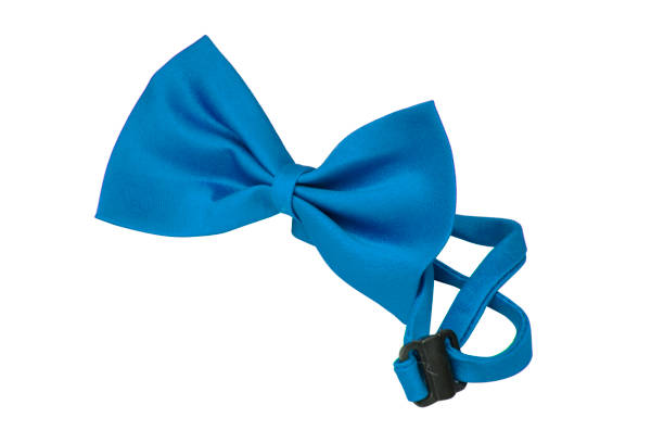 istock Blue bow tie clothing accessory isolated on the white background 1403064071