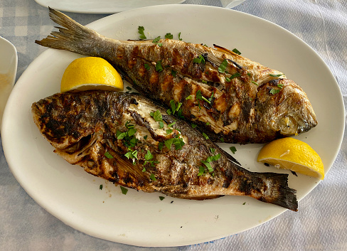Two Grill fish served for dinner on the plate