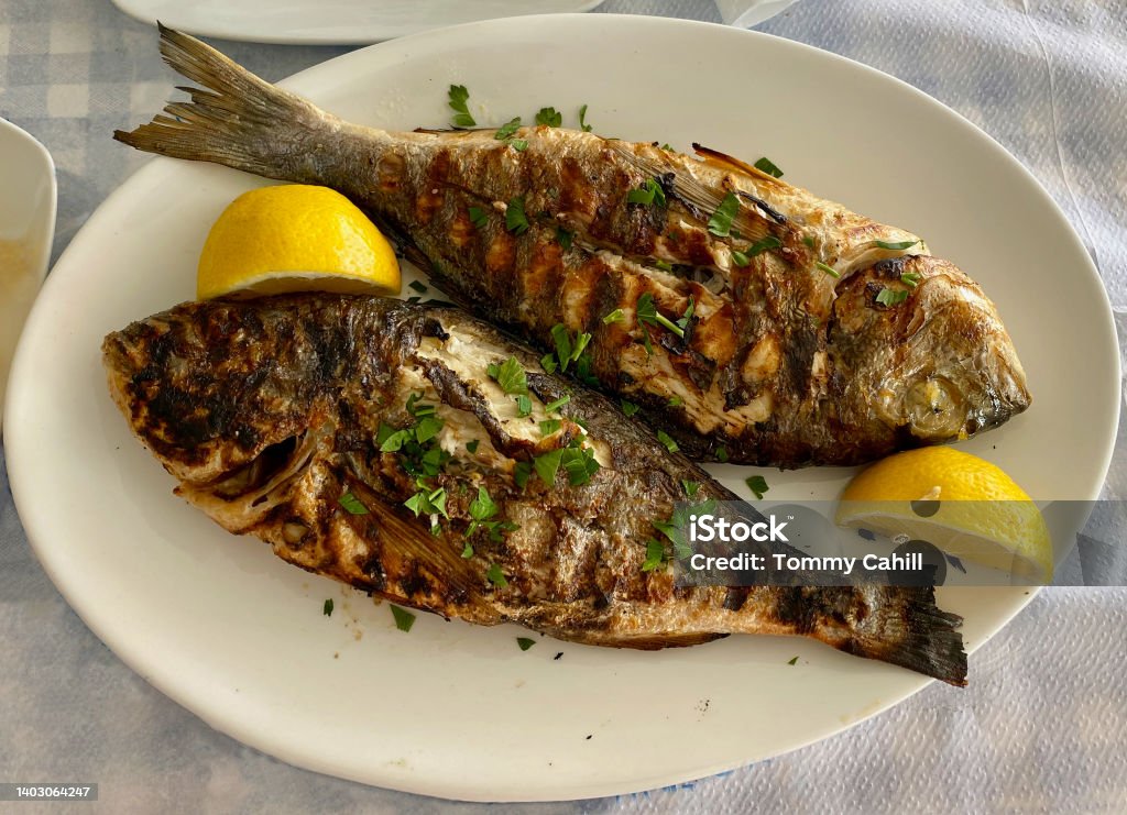 Grill fish served for dinner Two Grill fish served for dinner on the plate Fish Stock Photo