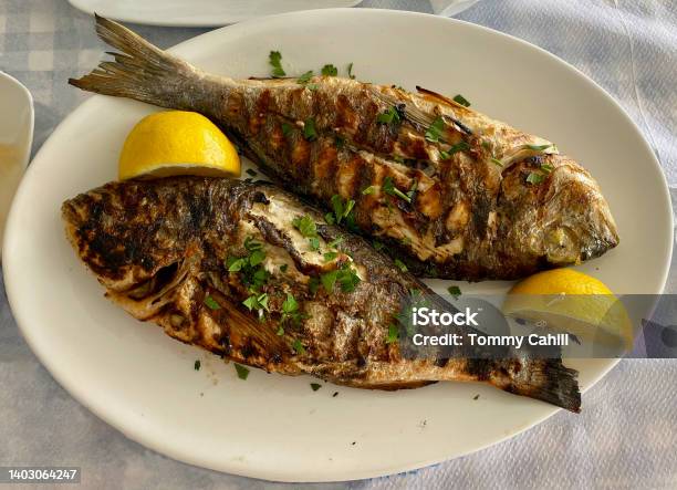 Grill Fish Served For Dinner Stock Photo - Download Image Now - Fish, Fried, Whole