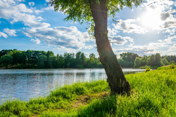 istock lake with interesting sky on a sunny day 1403065278