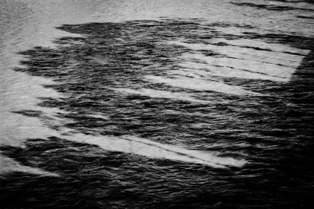 istock Black and white image of water surface with tree shadows 1403070281