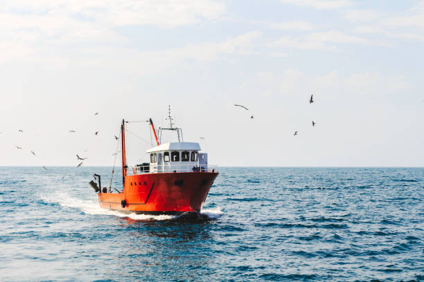 um cortador azul com um rebanho de gaivotas no mar do norte ao sol com geradores de vento ao fundo - trawler - fotografias e filmes do acervo