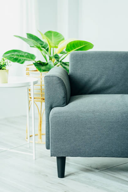 istock Close up sofa in living room with window wall and plant. 1403078302