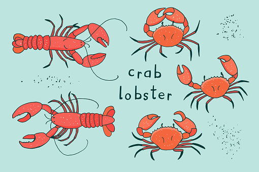 Lobster crab vector illustrations set