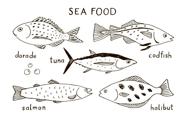 110+ Cartoon Of A Halibut Stock Photos, Pictures & Royalty-Free Images - iStock 110+ Cartoon Of A Halibut Stock Photos, Pictures & Royalty-Free Images - Istock
