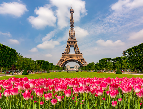 Eiffel Tower and spring tulips on Field of Mars, Paris, France