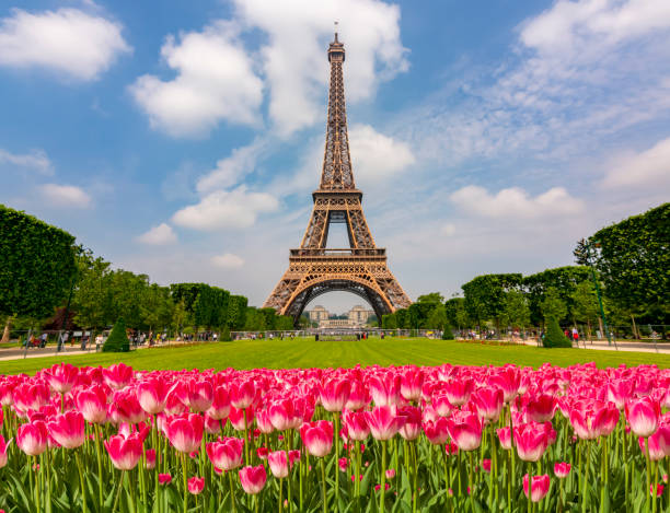 Eiffel Tower and spring tulips on Field of Mars, Paris, France Eiffel Tower and spring tulips on Field of Mars, Paris, France champ de mars stock pictures, royalty-free photos & images