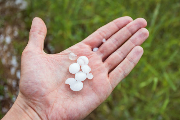 istock Hailstone in a hand after strong storm 1403081089