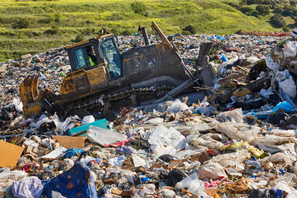 istock Heavy machinery shredding garbage in an open air landfill. Pollution 1403083495