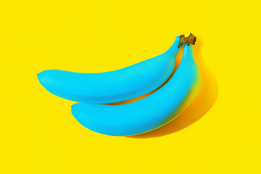 Two ripe blue bananas cast a shadow isolated on a bright color yellow background. Unusual colors, inversion. Trendy image in magazine style. Contemporary art. Modern design