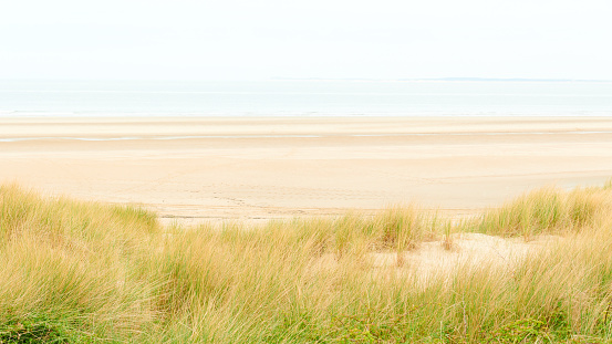 Wild wide beach landscape in Netherlands