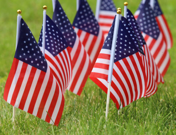 istock American flags on grass. Independence Day concept. USA holiday. 1403091633