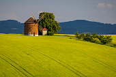 Windmill in Chvalkovice, Southern Moravia, Czech Republic