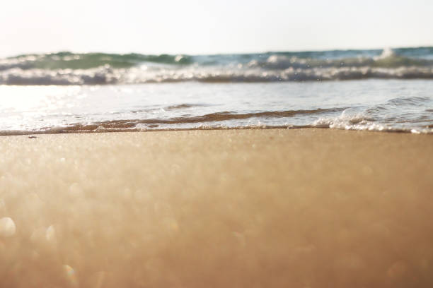 istock Sea waves and warm sunset light, calm and relaxing sandy beach 1403094746