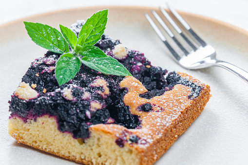 piece of blueberry cake with mint