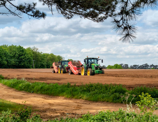 Agricultural activity in a Suffolk field stock photo