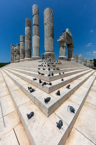 Photo of Ruins of the sanctuary of Apollon Smintheus known also as Smytntheion in the town of Ayvacik, Canakkale, Turkey