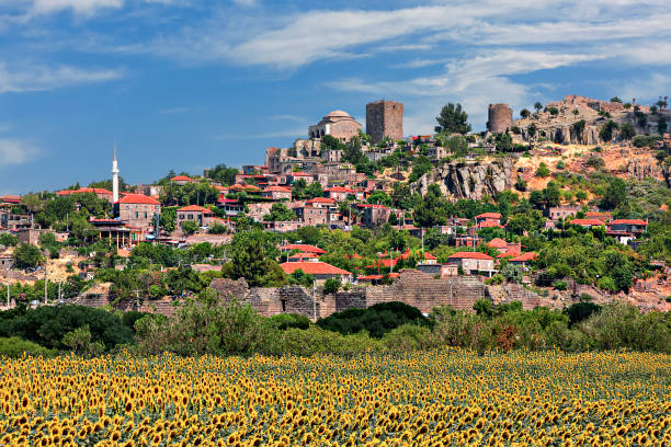 istock Sun flower field in Behramkale, Canakkale, Turkey 1403097056