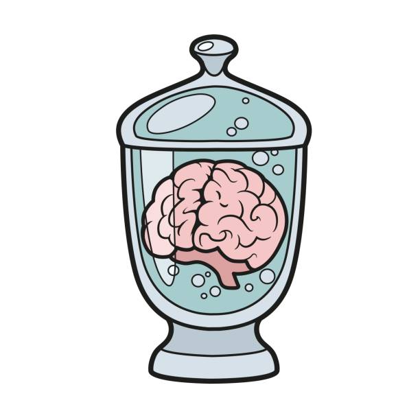 Human brain in a glass jar color variation for coloring page on white background Human brain in a glass jar color variation for coloring page on white background brain jar stock illustrations