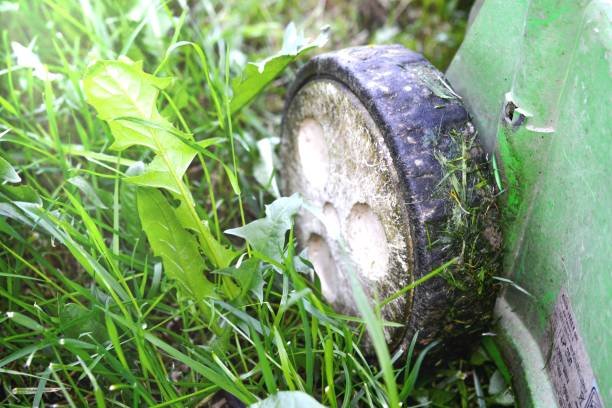 istock Lawn mower, grass, equipment, mowing, gardener, care, work, tool,wheel 1403100094