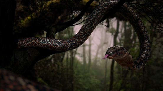 Cobra on big tree with tongue in jungle.3D realistic rendering animal exotic conceptual.