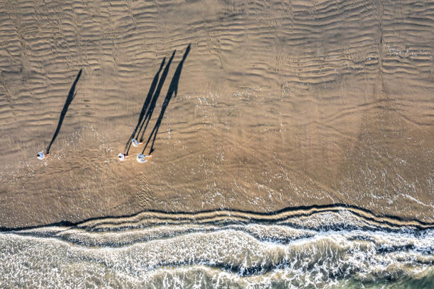 istock Aerial Drone Looking Directly Down on Pacific Ocean Beach on People Walking on Sandy Beach 1403102654