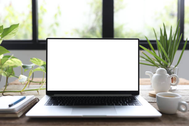 istock Laptop and plant pot on wooden table 1403103415