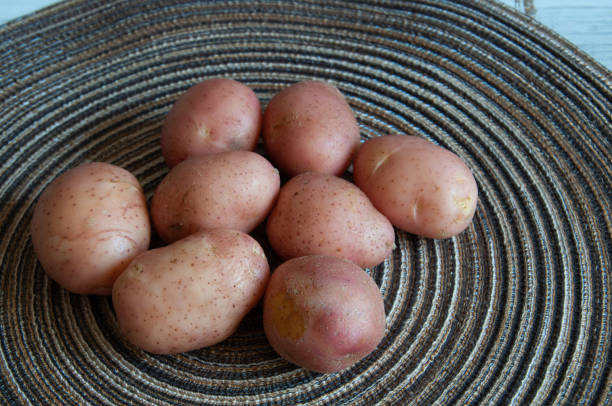 istock potatoes on a wooden table 1403103752