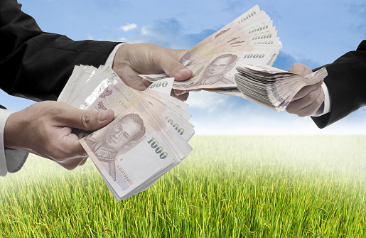 Businessman offer money for buy rice filed land