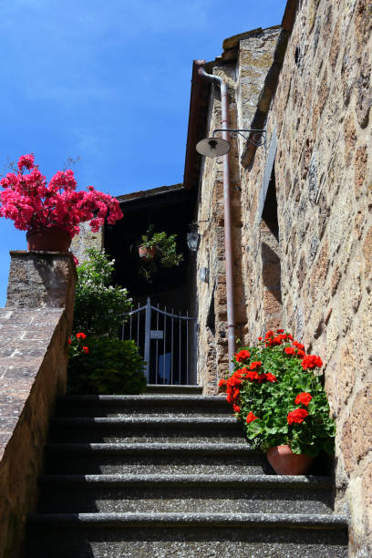 istock Civita di Bagnoregio  Viterbo Italy 1403106866