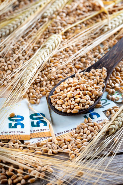 Concept of rising costs for wheat