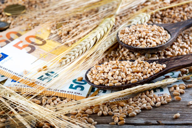 istock Concept of rising costs for wheat 1403115201