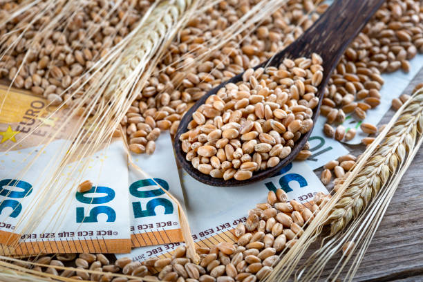 istock Concept of rising costs for wheat 1403115221