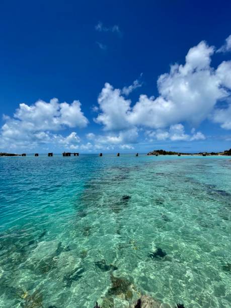 istock Looking east from the water in Bermuda; in Portrait 1403120283