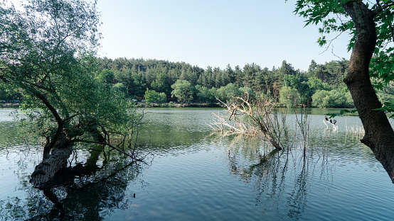 Lake view background