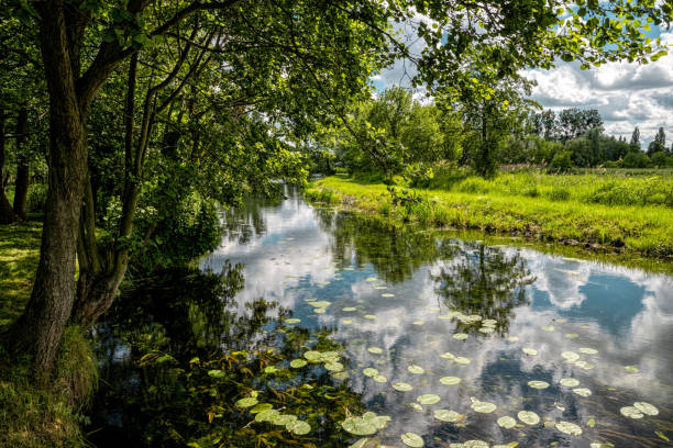 istock Rural landscape, river among green meadows 1403130777