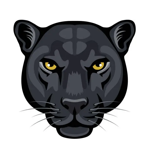 Vector illustration of Black panther head close up. Black Leopard Head Logo.