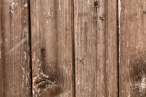 texture of old brown wood with lines