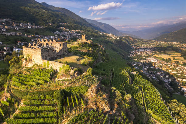 Aerial view of landscape of Valtellina with his vineyards, Grumello, Lombardy. stock photo