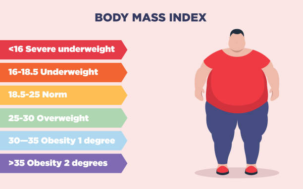 Body Mass Index Scale. Vector illustration. Poster with BMI infographics and fat person on pink backdrop obesity stock illustrations
