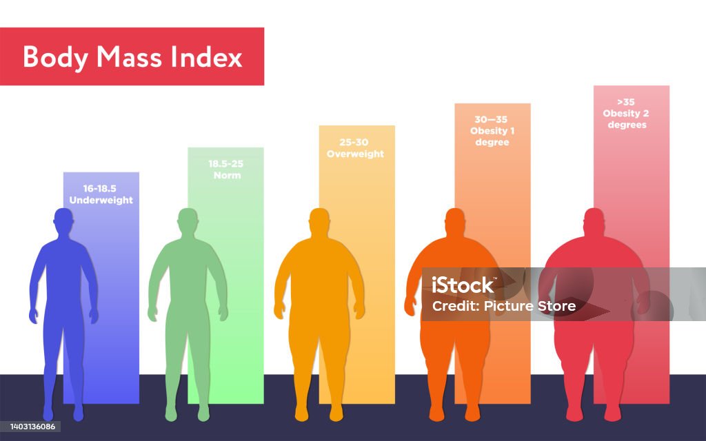 Visual Bmi Examples Vector Illustration With Bmi Chart Stock Illustration - Download Image ...