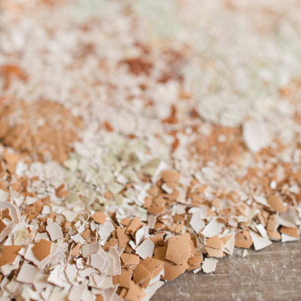 istock Brown & Blue Pasture Raised Eggs Shells, Crushed and Getting to be Used as a High Calcium Source of Natural Fertilizer for House Plants and Outdoor Garden 1403137263