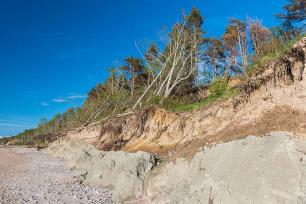 istock Landslide cliff by the sea with trees, Labrags, Latvia. 1403140101