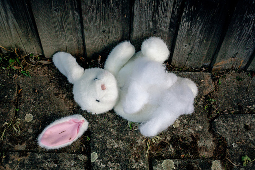 adorable stuffed white bunny lying destroyed on the floor