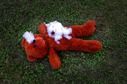 destroyed stuffed teddy bear lying on the floor outdoors